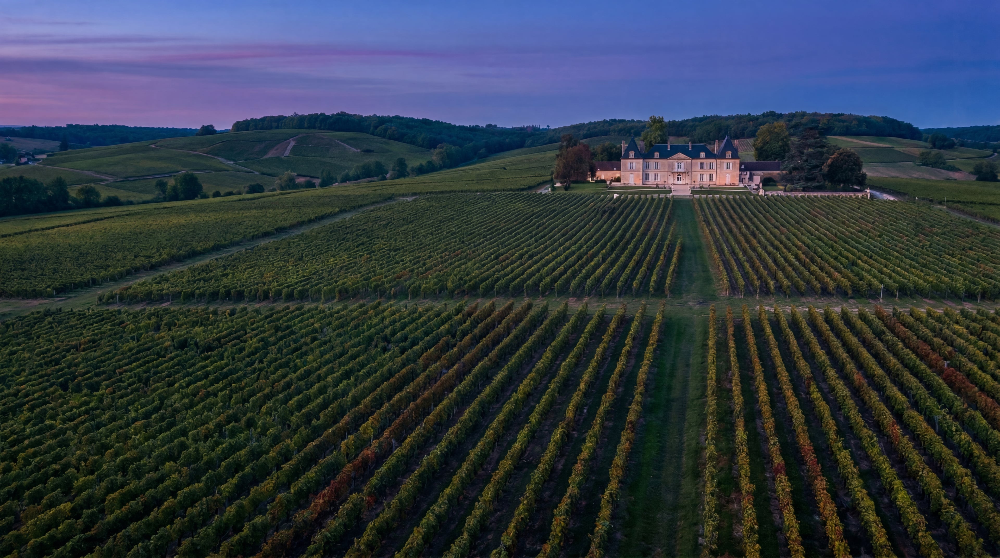 Wijnkelder met karakter
